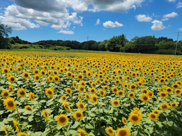 成田ゆめ牧場に投稿された画像（2023/8/9）