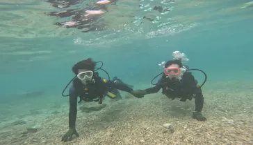 武藤潜水に投稿された画像（2023/8/9）