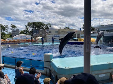 越前松島水族館に投稿された画像（2023/8/9）