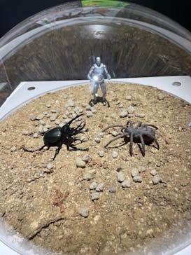 昆虫最強王図鑑展に投稿された画像（2023/8/9）