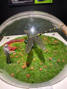 昆虫最強王図鑑展に投稿された画像（2023/8/9）