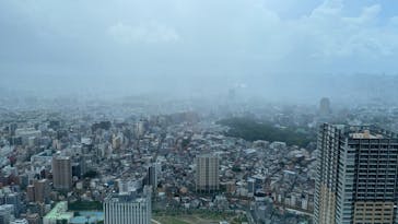 昆虫最強王図鑑展に投稿された画像（2023/8/9）