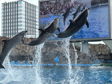 名古屋港水族館に投稿された画像（2023/8/9）