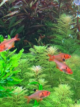 AOAO SAPPOROに投稿された画像（2023/8/9）