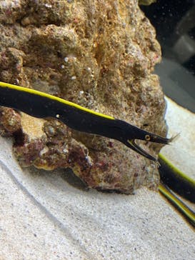 AOAO SAPPOROに投稿された画像（2023/8/9）