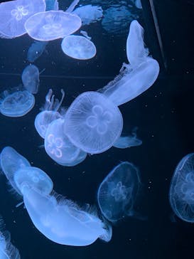 AOAO SAPPOROに投稿された画像（2023/8/9）