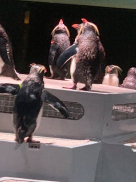 AOAO SAPPOROに投稿された画像（2023/8/9）