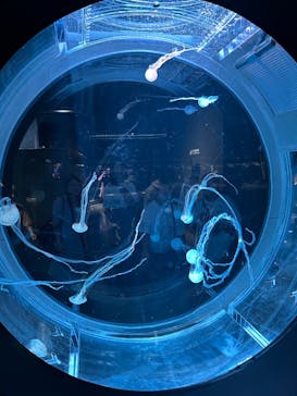 AOAO SAPPOROに投稿された画像（2023/8/9）