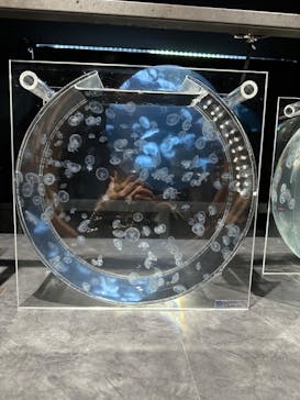 AOAO SAPPOROに投稿された画像（2023/8/9）