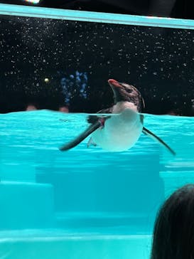 AOAO SAPPOROに投稿された画像（2023/8/9）