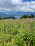 白馬五竜高山植物園に投稿された画像（2023/8/9）