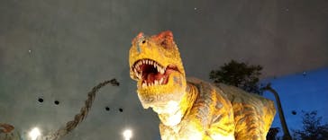 福井県立恐竜博物館に投稿された画像（2023/8/9）