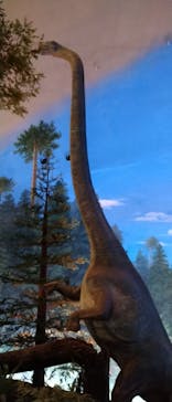 福井県立恐竜博物館に投稿された画像（2023/8/9）