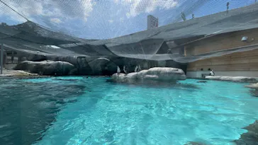 天王寺動物園に投稿された画像（2023/8/9）