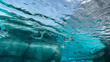 天王寺動物園に投稿された画像（2023/8/9）