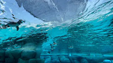 天王寺動物園に投稿された画像（2023/8/9）