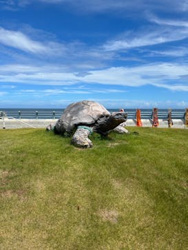アクアワールド茨城県大洗水族館に投稿された画像（2023/8/9）