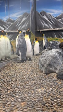 越前松島水族館に投稿された画像（2023/8/9）
