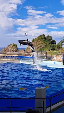 越前松島水族館に投稿された画像（2023/8/9）