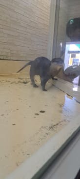 越前松島水族館に投稿された画像（2023/8/9）