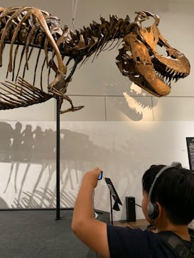 大阪市立自然史博物館に投稿された画像（2023/8/9）