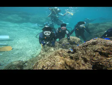 武藤潜水に投稿された画像（2023/8/9）