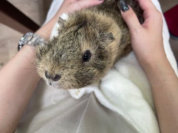 成田ゆめ牧場に投稿された画像（2023/8/9）