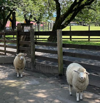 伊香保グリーン牧場に投稿された画像（2023/8/9）