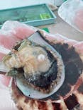 真珠工房 真珠の里に投稿された画像（2023/8/9）