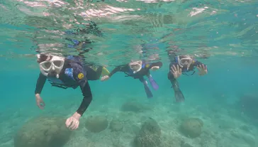 武藤潜水に投稿された画像（2023/8/9）