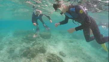 武藤潜水に投稿された画像（2023/8/9）
