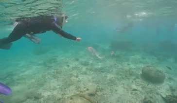 武藤潜水に投稿された画像（2023/8/9）