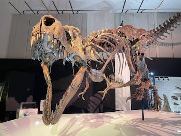 DinoScience 恐竜科学博 2023@TOKYO MIDTOWNに投稿された画像（2023/8/9）