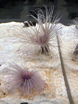 AOAO SAPPOROに投稿された画像（2023/8/9）