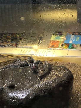 AOAO SAPPOROに投稿された画像（2023/8/9）