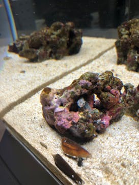 AOAO SAPPOROに投稿された画像（2023/8/9）