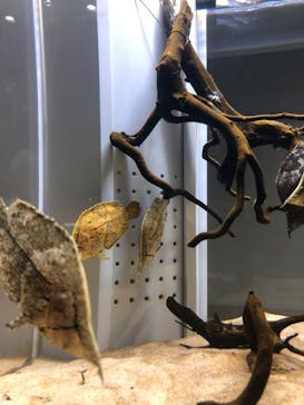 AOAO SAPPOROに投稿された画像（2023/8/9）