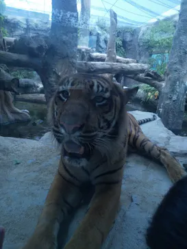 神戸どうぶつ王国に投稿された画像（2023/8/9）