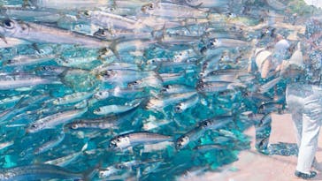 環境水族館アクアマリンふくしまに投稿された画像（2023/8/9）