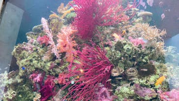 環境水族館アクアマリンふくしまに投稿された画像（2023/8/9）