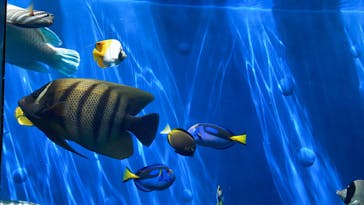 環境水族館アクアマリンふくしまに投稿された画像（2023/8/9）