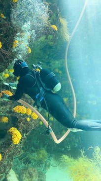 環境水族館アクアマリンふくしまに投稿された画像（2023/8/9）