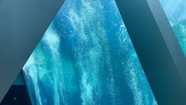 環境水族館アクアマリンふくしまに投稿された画像（2023/8/9）