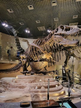 国立科学博物館に投稿された画像（2023/8/9）
