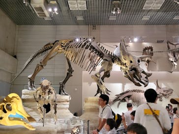 国立科学博物館に投稿された画像（2023/8/9）