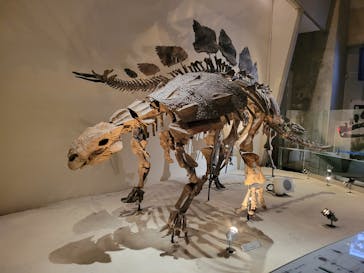 国立科学博物館に投稿された画像（2023/8/9）