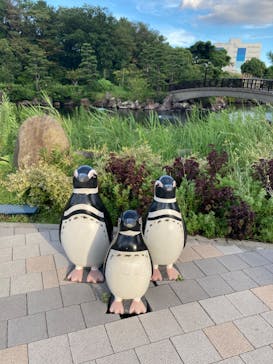 しながわ水族館に投稿された画像（2023/8/9）