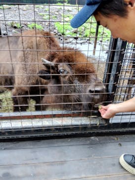 那須サファリパークに投稿された画像（2023/8/9）