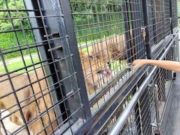 那須サファリパークに投稿された画像（2023/8/9）