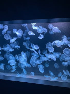 AOAO SAPPOROに投稿された画像（2023/8/9）